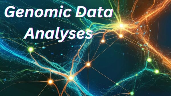 Genetic models and genetic analyses